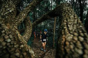 BIB: 
                            <button type="button" onclick="openModal(25674043)" class="btn btn-primary btn-sm float-right btn-popup" data-toggle="modal" data-target=".modal-high-quality">
                        <i class="fas fa-shopping-cart"></i> Add to Cart
                    </button>
                                            <button type="button" onclick="isThisMe(25674043, true)" class="btn btn-success btn-sm float-right btn-popup btn-isme hidden" data-toggle="tooltip" data-placement="bottom" title="นี่คือรูปของคุณใช่ไหม คลิกที่นี่เพื่อเอาเข้าอัลบั้ม">
                        <i class="fas fa-plus"></i> Add to album
                    </button>
                    <button type="button" onclick="isThisMe(25674043, false)" class="btn btn-warning btn-sm float-right btn-popup btn-isnotme hidden">
                        <i class="fas fa-ban"></i> Remove from album
                    </button>